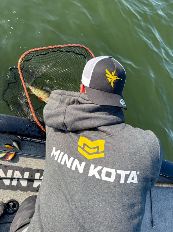 Hoodie Minnkota Grau XS - 4 XL