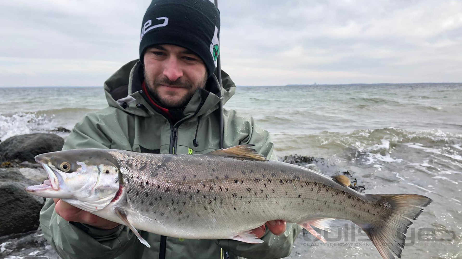 Bullseye Coastguard 310