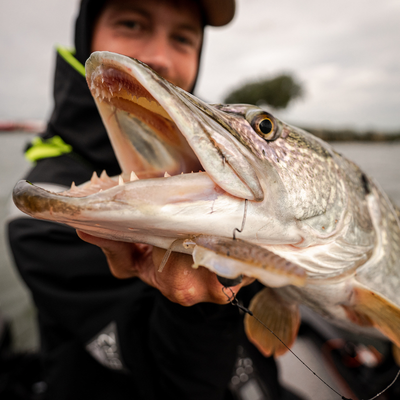 Chasebaits FlipFlop Chasebaits FlipFlop