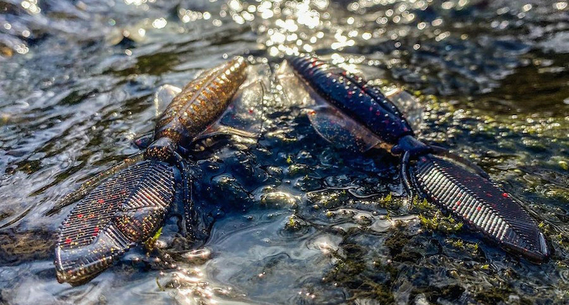 Chasebaits FlipFlop Chasebaits FlipFlop