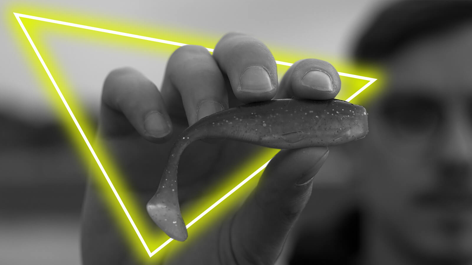 Softbaits Softbaits