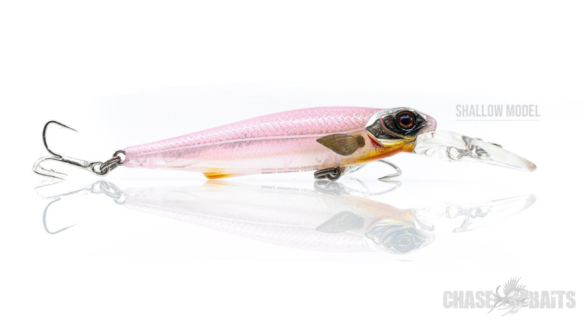 ECOGEAR PX 45F  TopWaterbait  Japanwobbler Barsch Hecht Zander Forelle Red Craw 